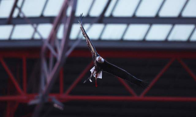 穆里尼奥坚守本菲卡拒绝沙特纽卡邀请